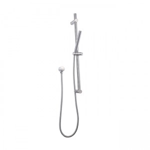 Elle Stainless Steel Hand Shower On Rail
